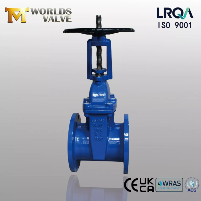 ResilientSeatedGateValve versus válvula de compuerta con asiento metálico: ¿lo que debe saber?