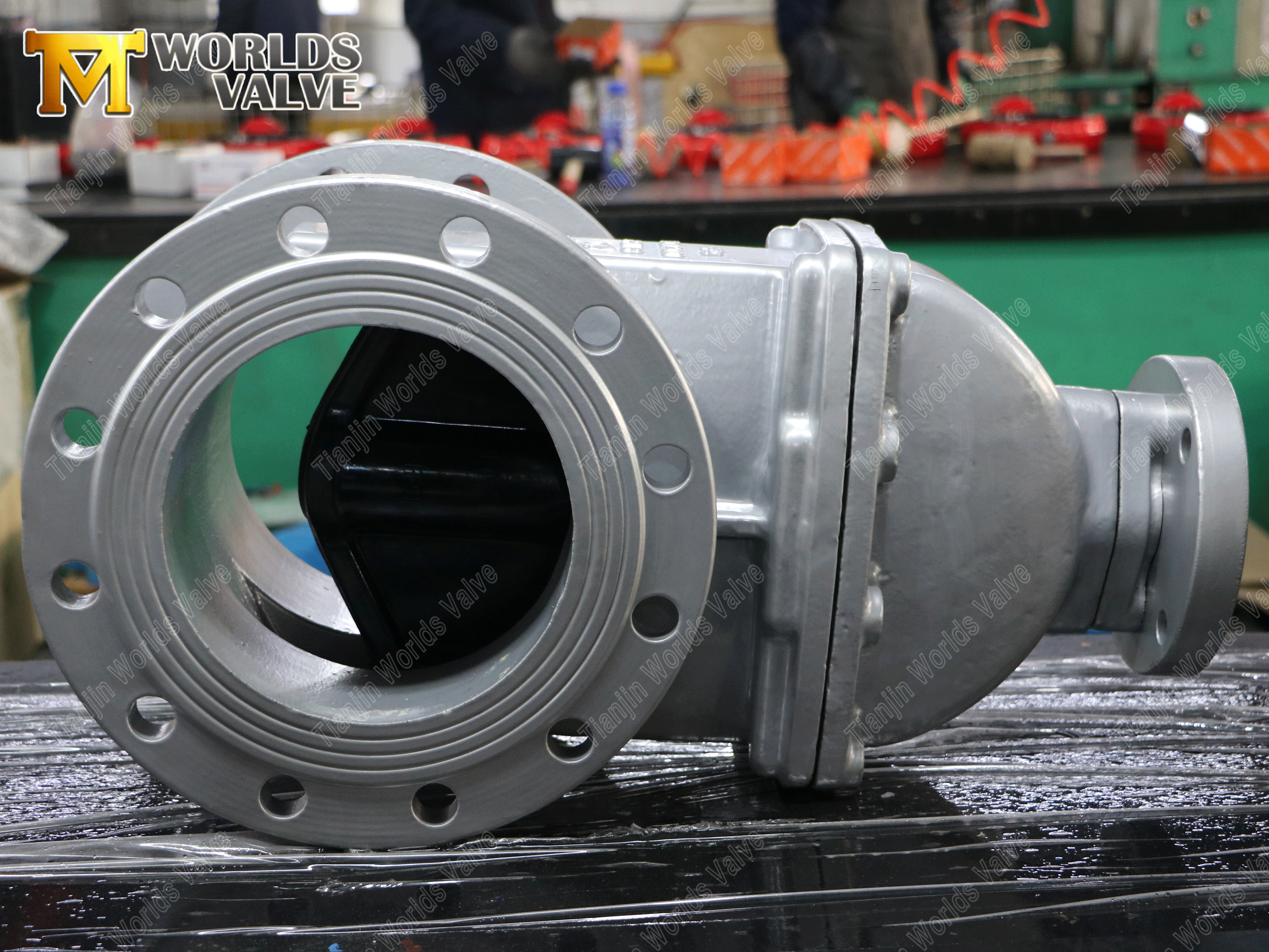 V&aacute;lvula de la puerta de la puerta medio abierta2