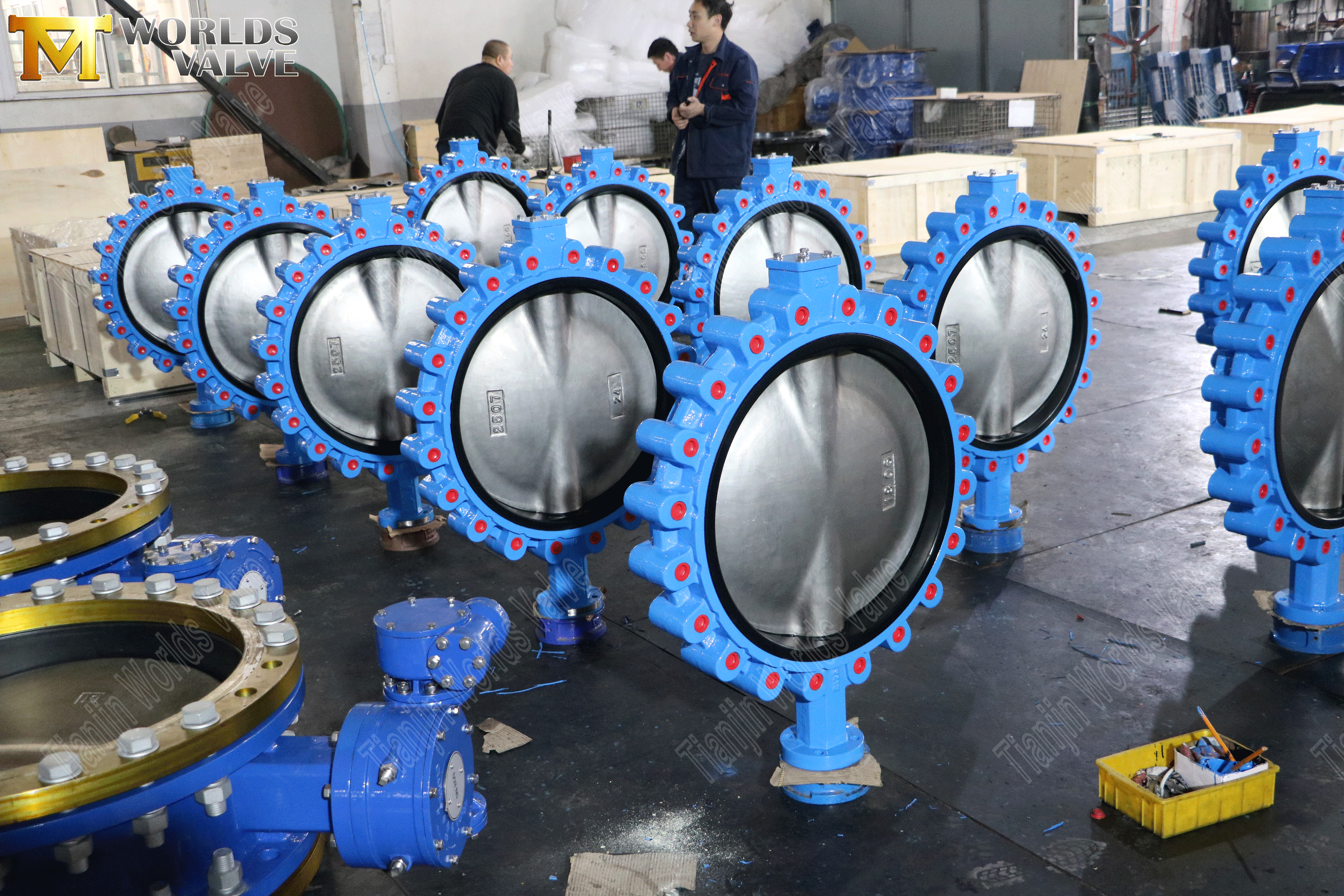 Lug Vavles conc&eacute;ntricos de mariposa con operador de engranaje de gusano (5)