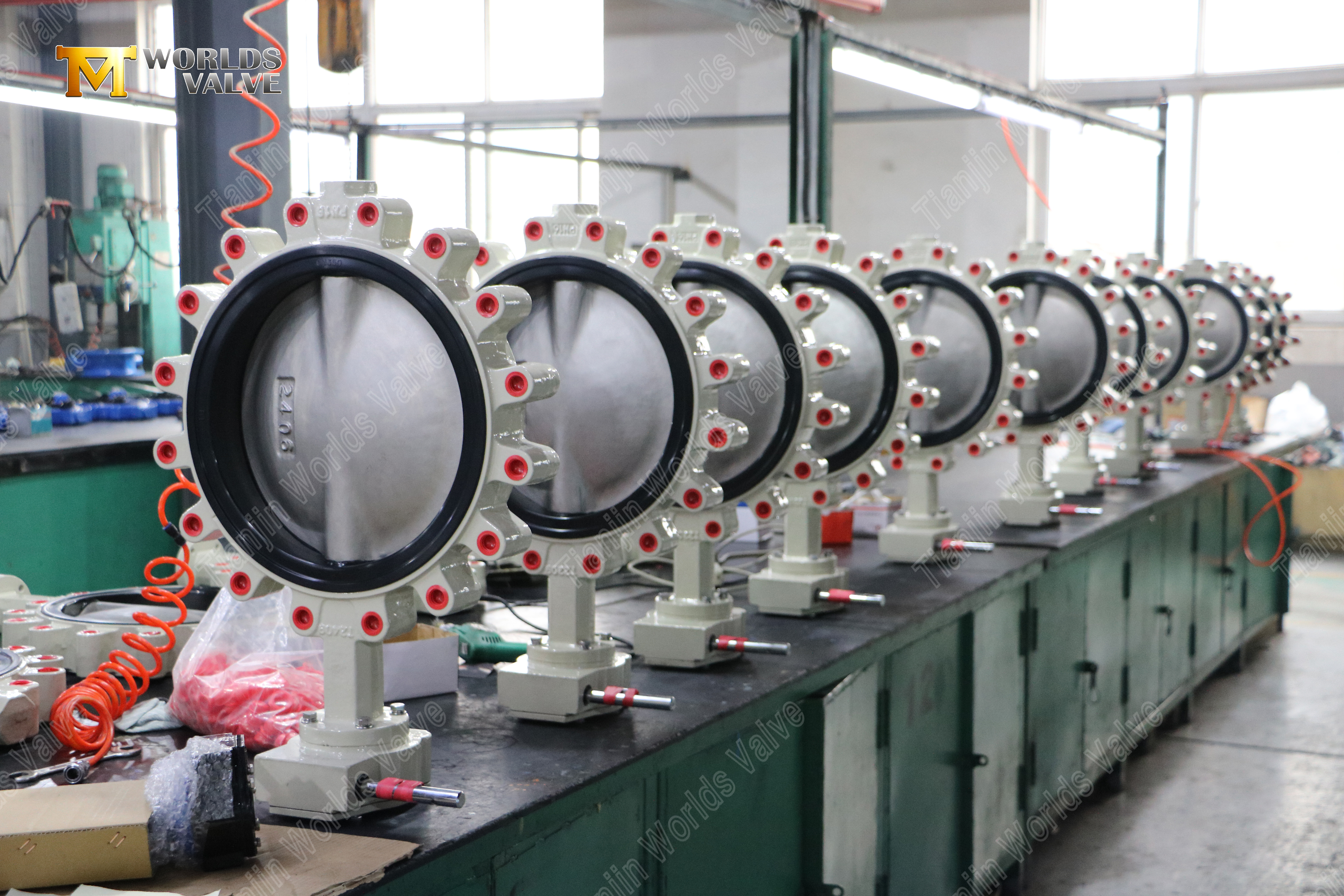 V&aacute;lvula de mariposa con orejeta de engranaje helicoidal y disco DI cubierto de nailon (6)