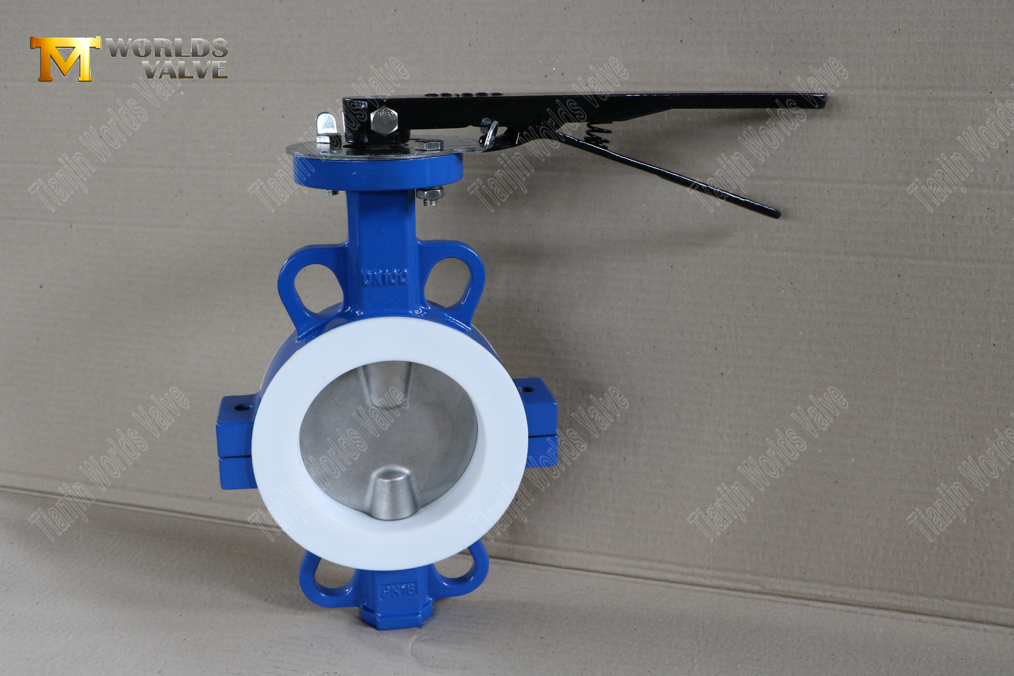 DN100-Teflon-Wafer-Split-Body-Butterfly-Valvas-Control-flujo resistente a la corrosi&oacute;n- (1)