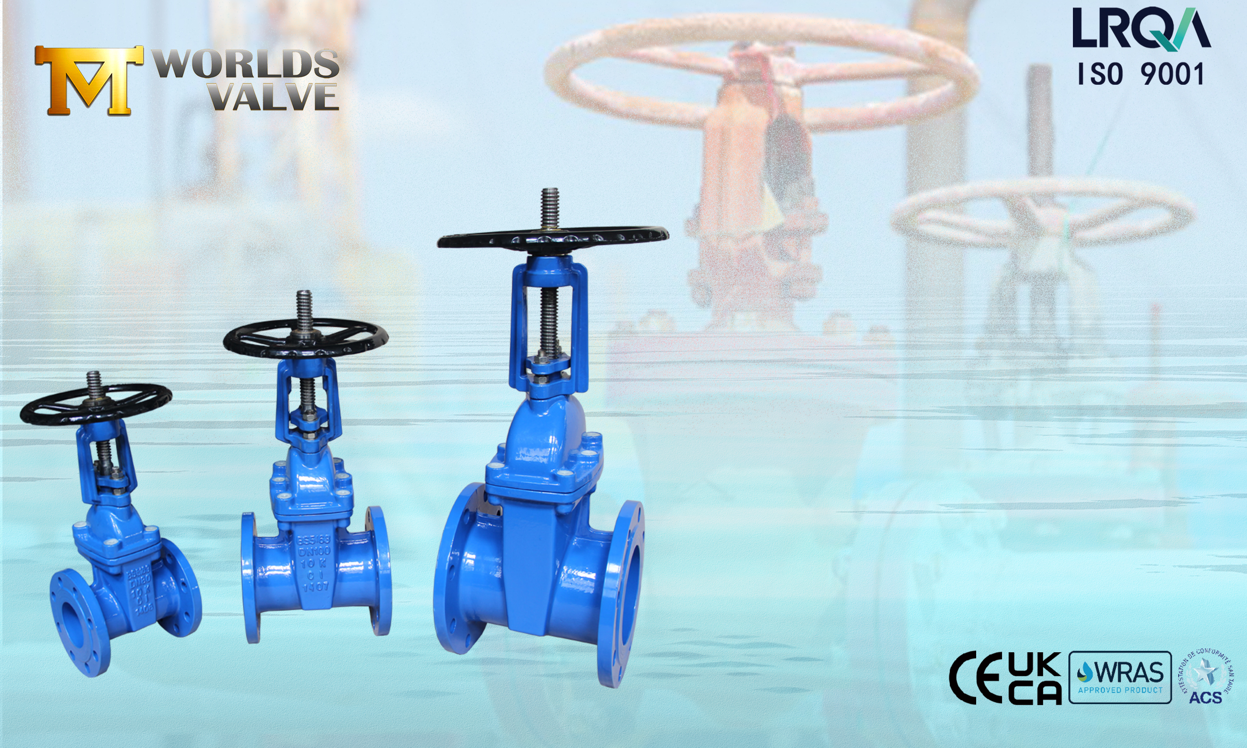 Válvulas de compuerta del vástago de asiento resiliente BS 5163