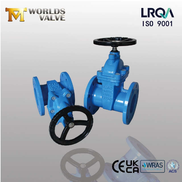 Exploración de los tipos y características especiales de las válvulas de compuerta con asiento resistente