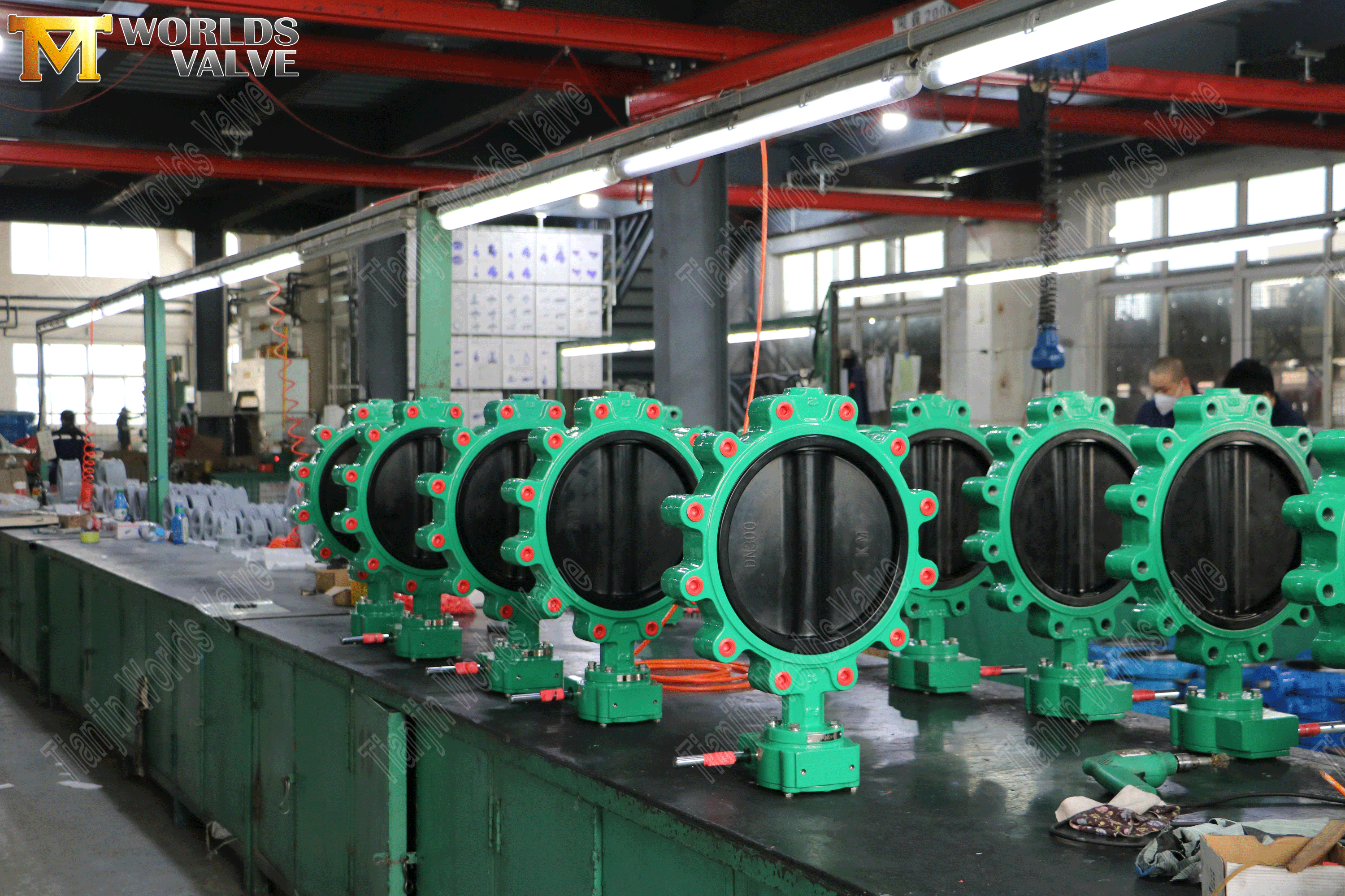 Lug Vavles conc&eacute;ntricos de mariposa con operador de engranaje de gusano (7)