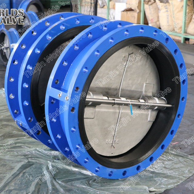 Válvula de retención forrada de goma completa con conexión doble de bridas