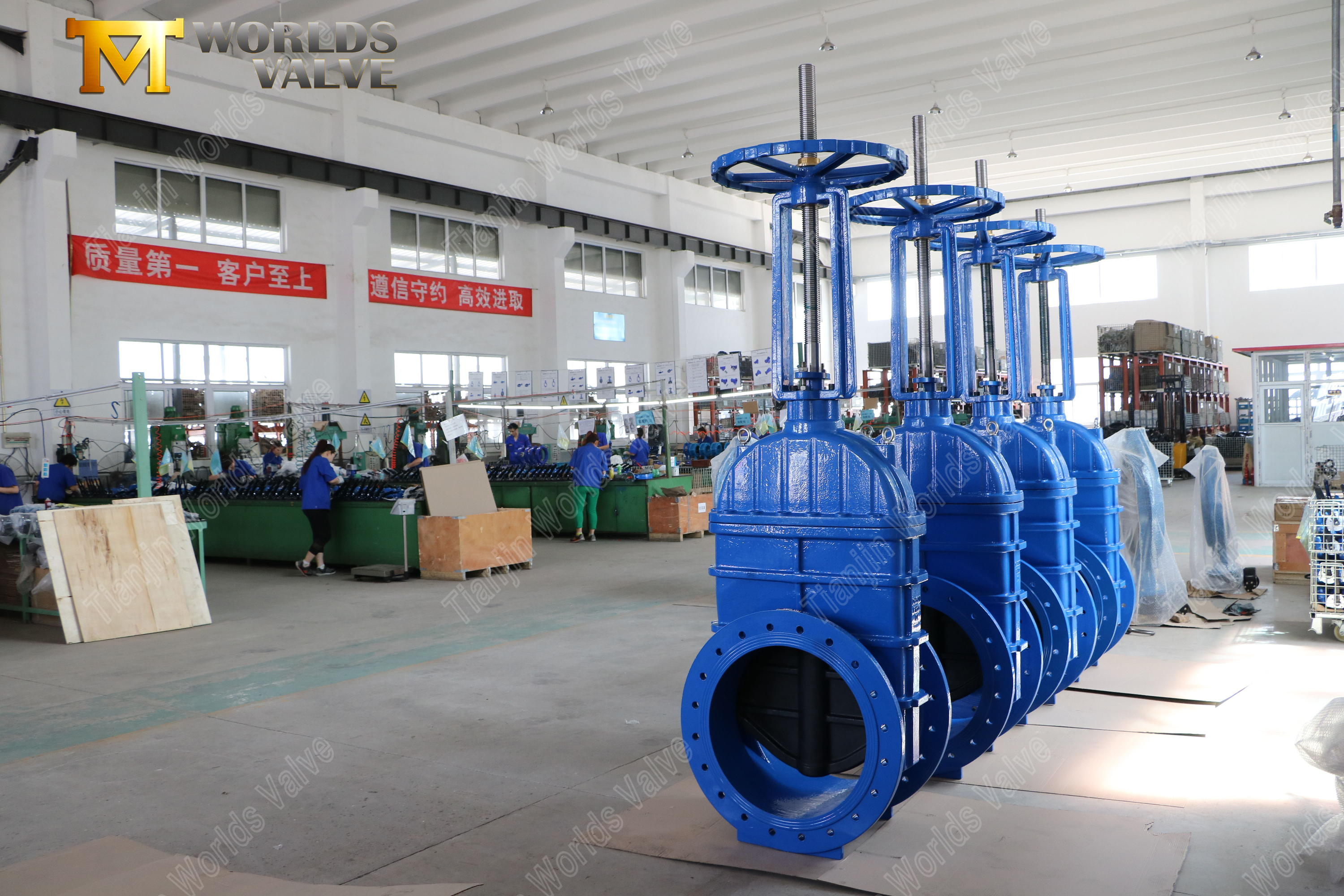 V&aacute;lvula de compuerta de v&aacute;stago ascendente con bridas con asiento de EPDM y operador de caja de cambios (7)