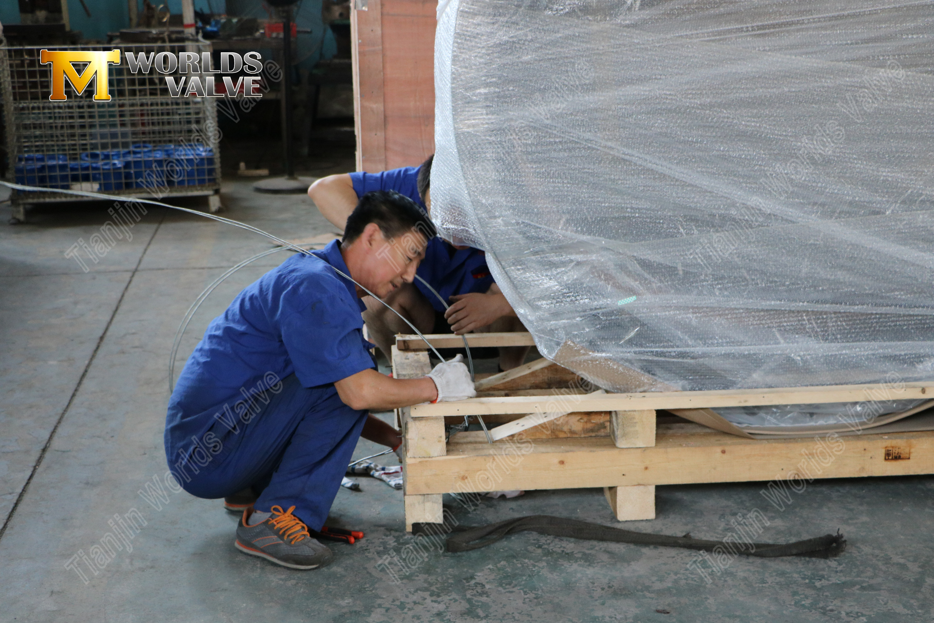 V&aacute;lvula de mariposa de doble brida de disco de aluminio y bronce (4)