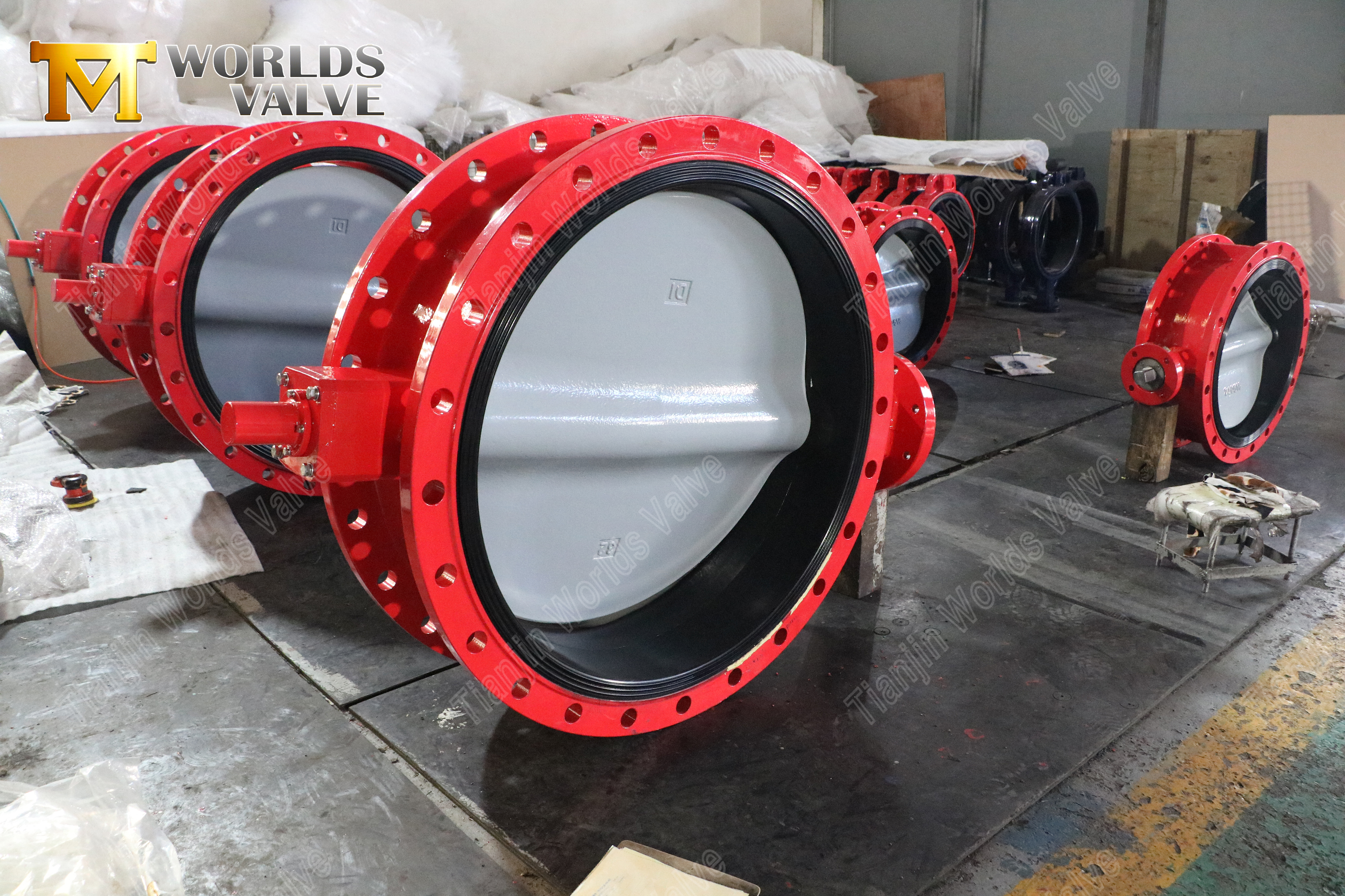 V&aacute;lvula de mariposa de doble brida con disco DI recubierto de nailon (9)