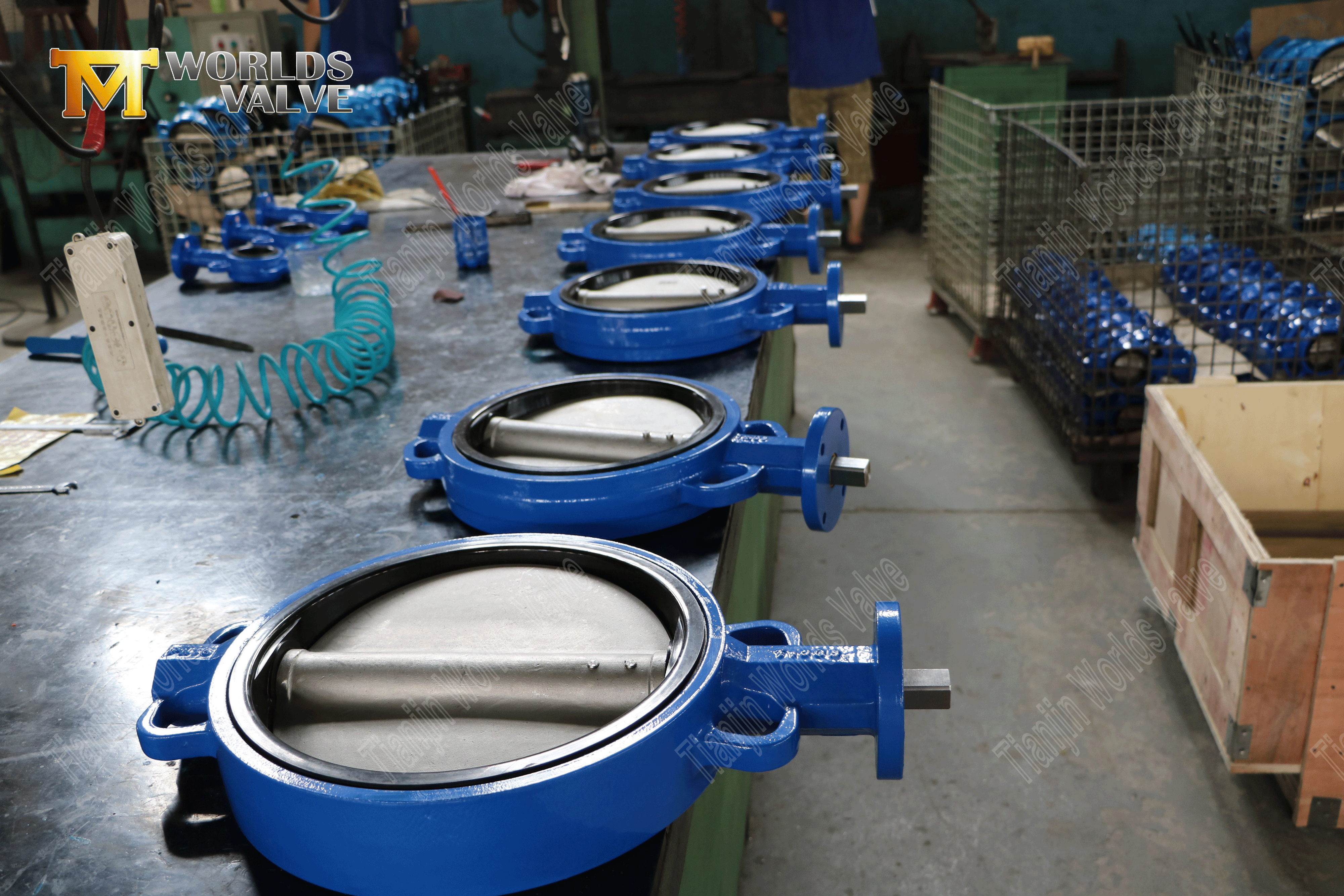 V&aacute;lvulas de mariposa de obleas operadas por engranaje de gusano con forrado de goma (3)