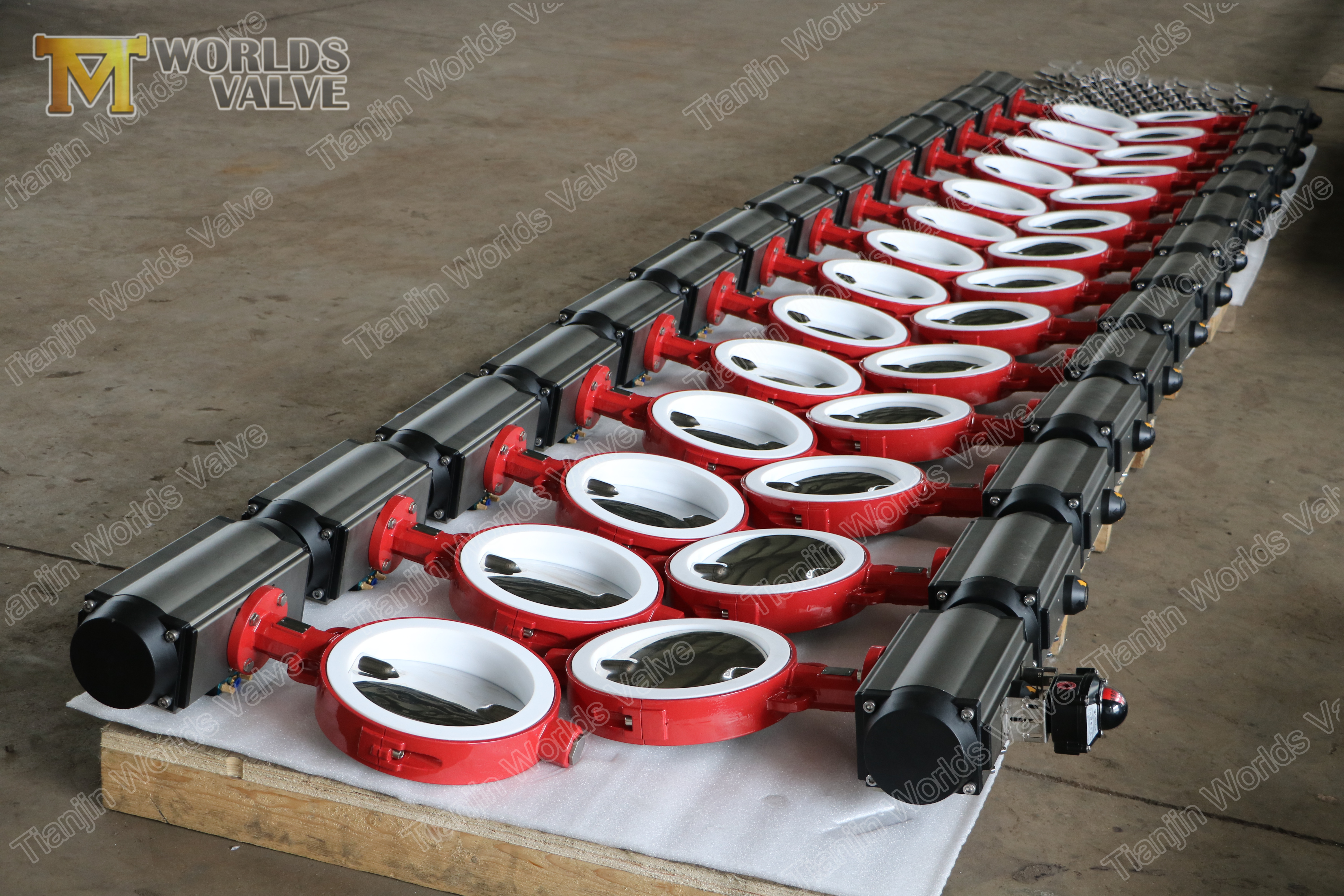 2 Disco pulido de acero inoxidable y asiento PTFE, alto rendimiento