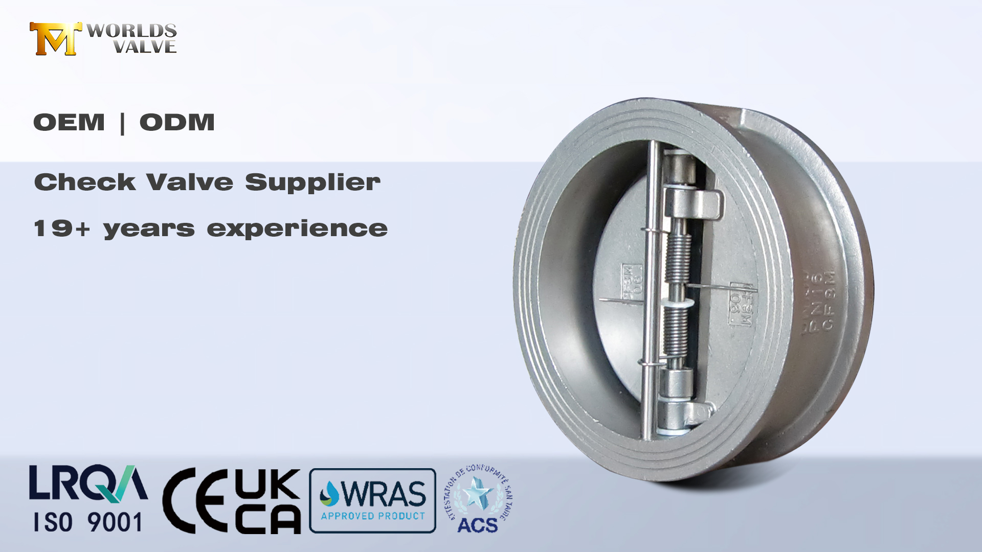 Válvulas de retención: prevención esencial de contraflujo para sistemas industriales | Válvula de mundos