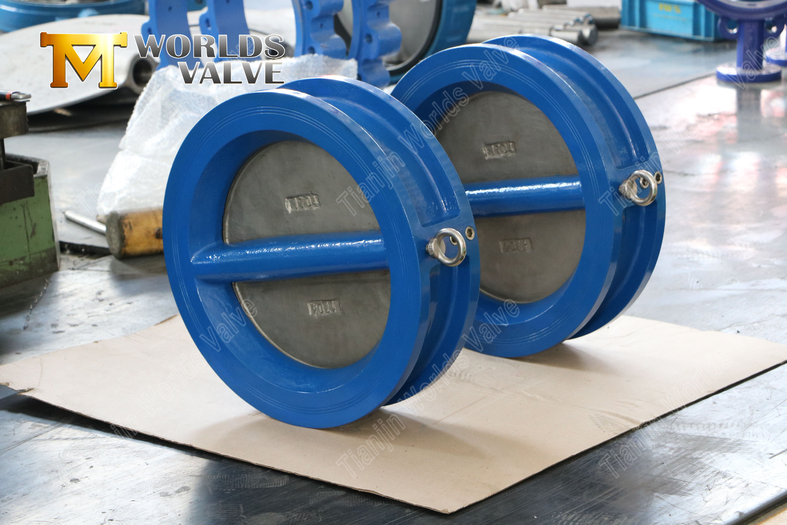 V&aacute;lvula de retenci&oacute;n tipo wafer de placa doble de acero inoxidable con discos de aleaci&oacute;n C954 (8)