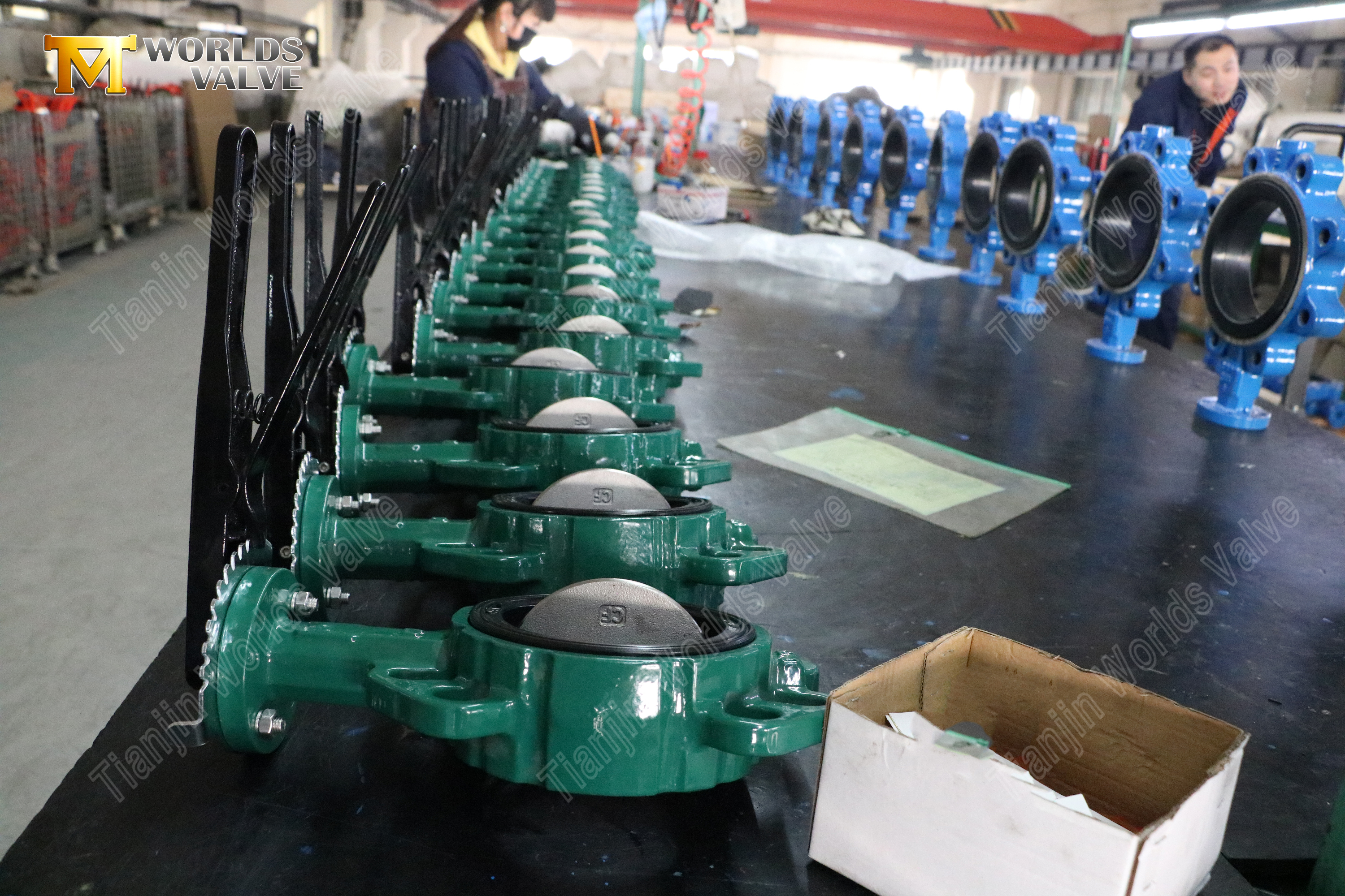 V&aacute;lvula de mariposa Wafer con asiento extra&iacute;ble, dise&ntilde;o de f&aacute;cil mantenimiento accionado por palanca-1 (3).jpg