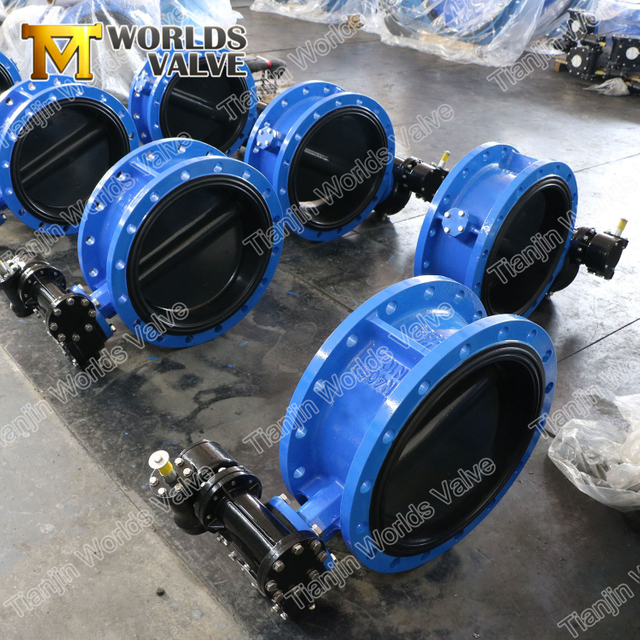 Válvula de mariposa de doble brida de sellado central con disco recubierto de caucho completo