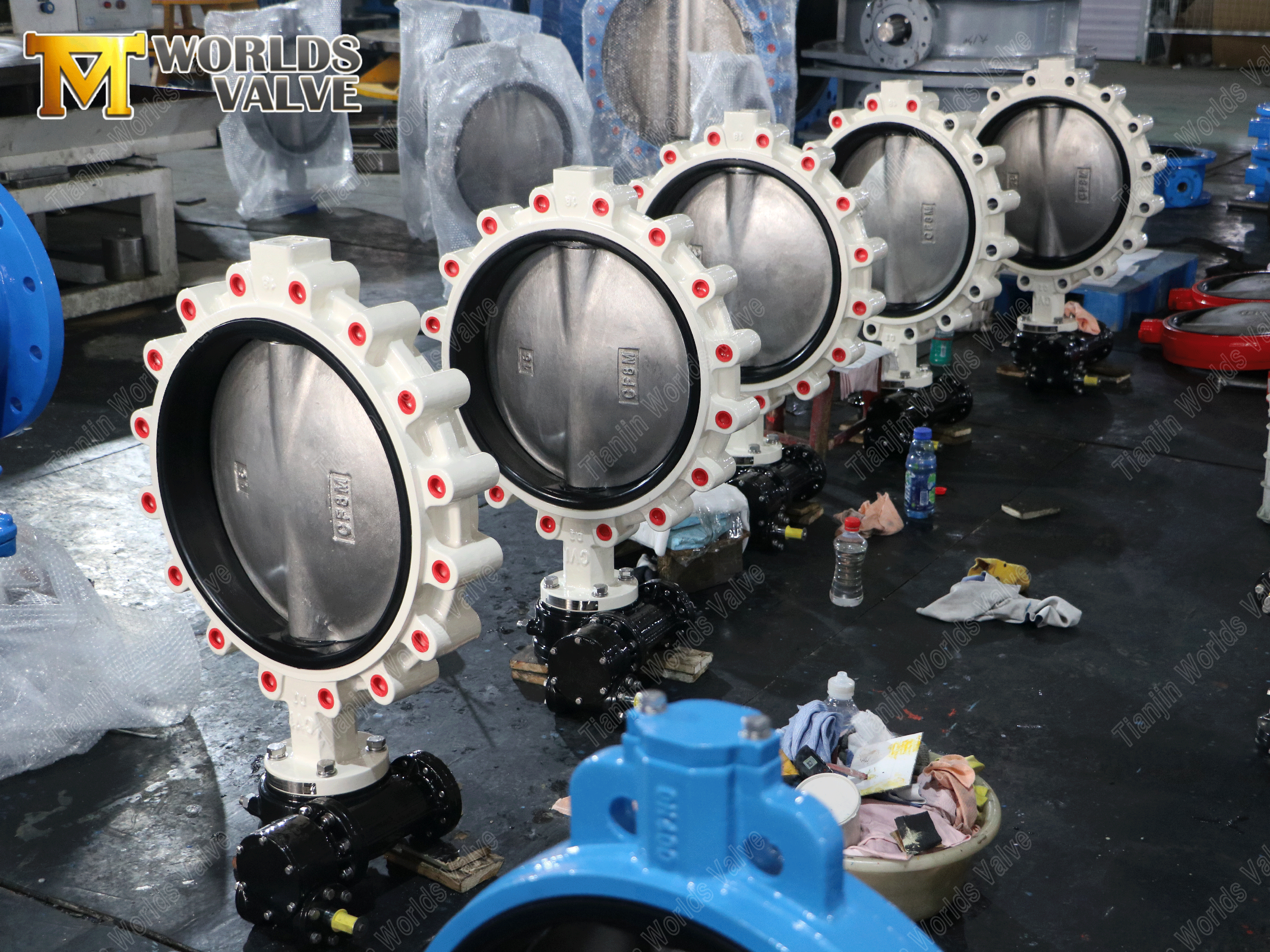 V&aacute;lvula de mariposa-1 de la orquer&iacute;a del engranaje de gusano