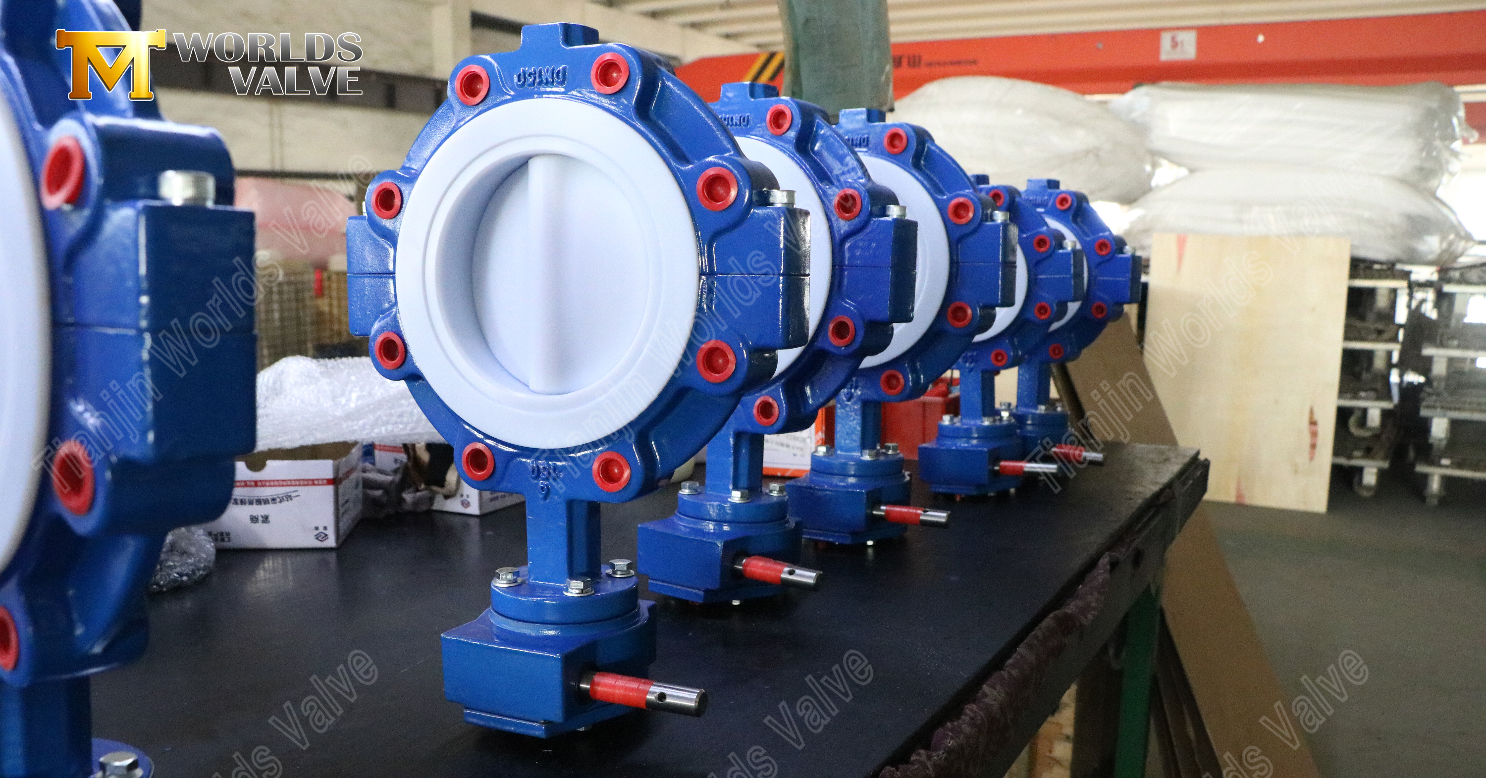 V&aacute;lvulas de mariposa con orejeta sellada de tefl&oacute;n y cuerpo dividido (1)