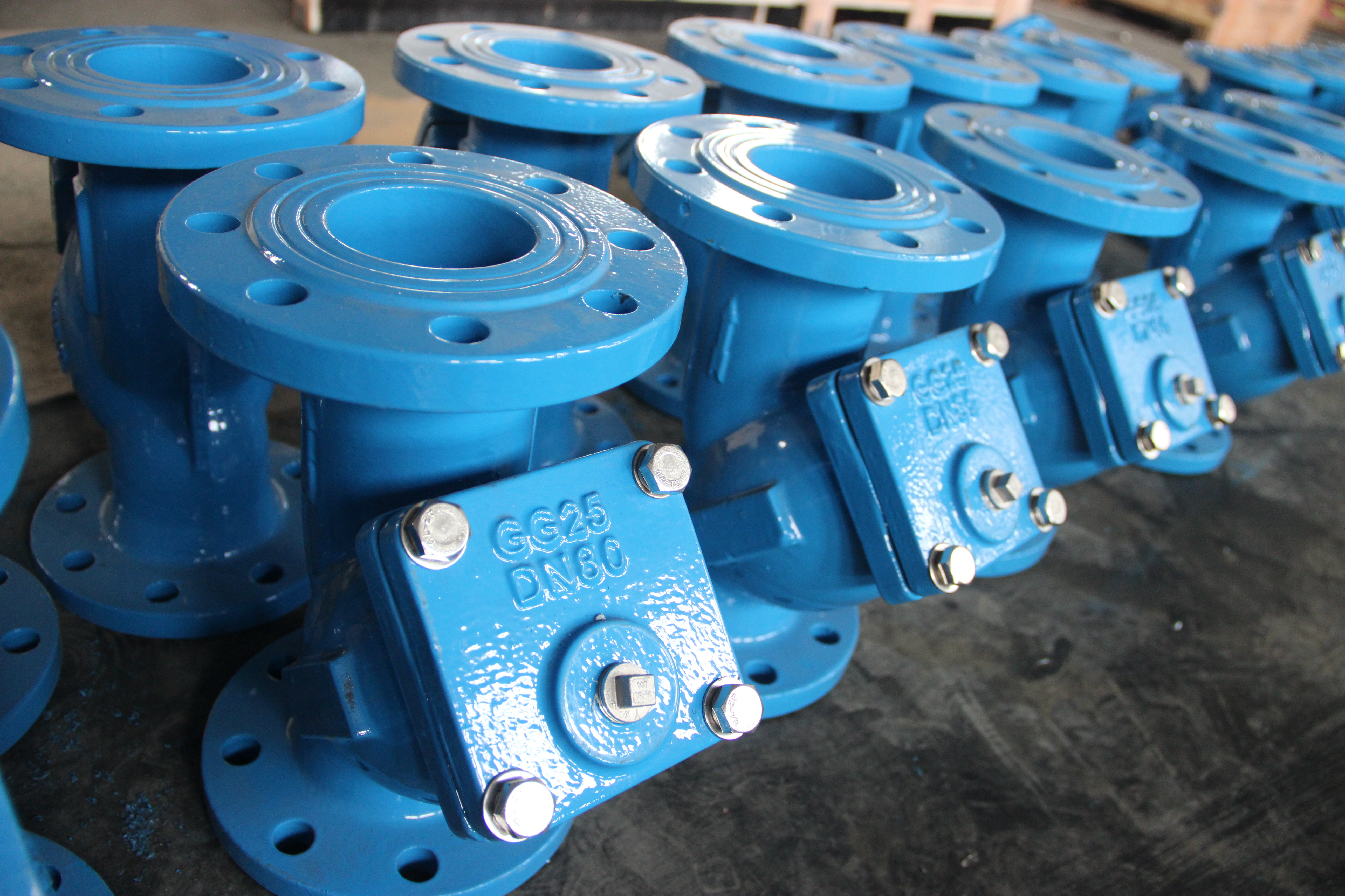 Filtro tipo Y DN80 Cuerpo de hierro d&uacute;ctil Conexi&oacute;n bridada Protecci&oacute;n de tuber&iacute;as industriales (3).JPG