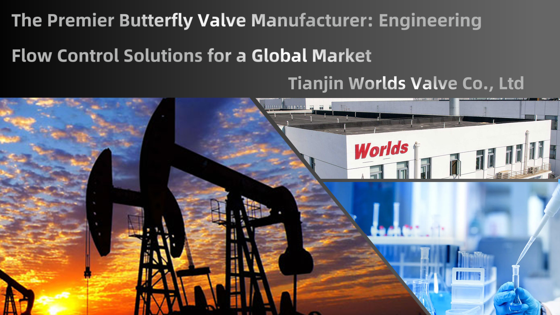 El principal fabricante de válvulas de mariposa: ingeniería de soluciones de control de flujo para un mercado global | Válvula del mundo de Tianjin Co., Ltd.