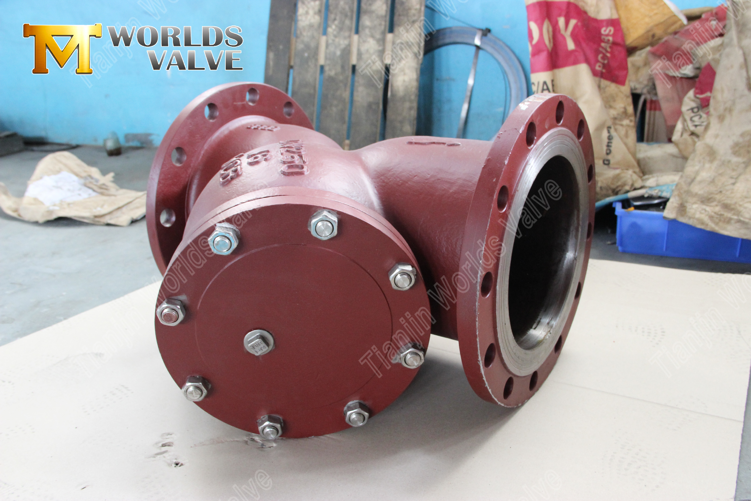 Filtro tipo Y con bridas Protecci&oacute;n de tuber&iacute;as industriales de acero al carbono WCB (8)