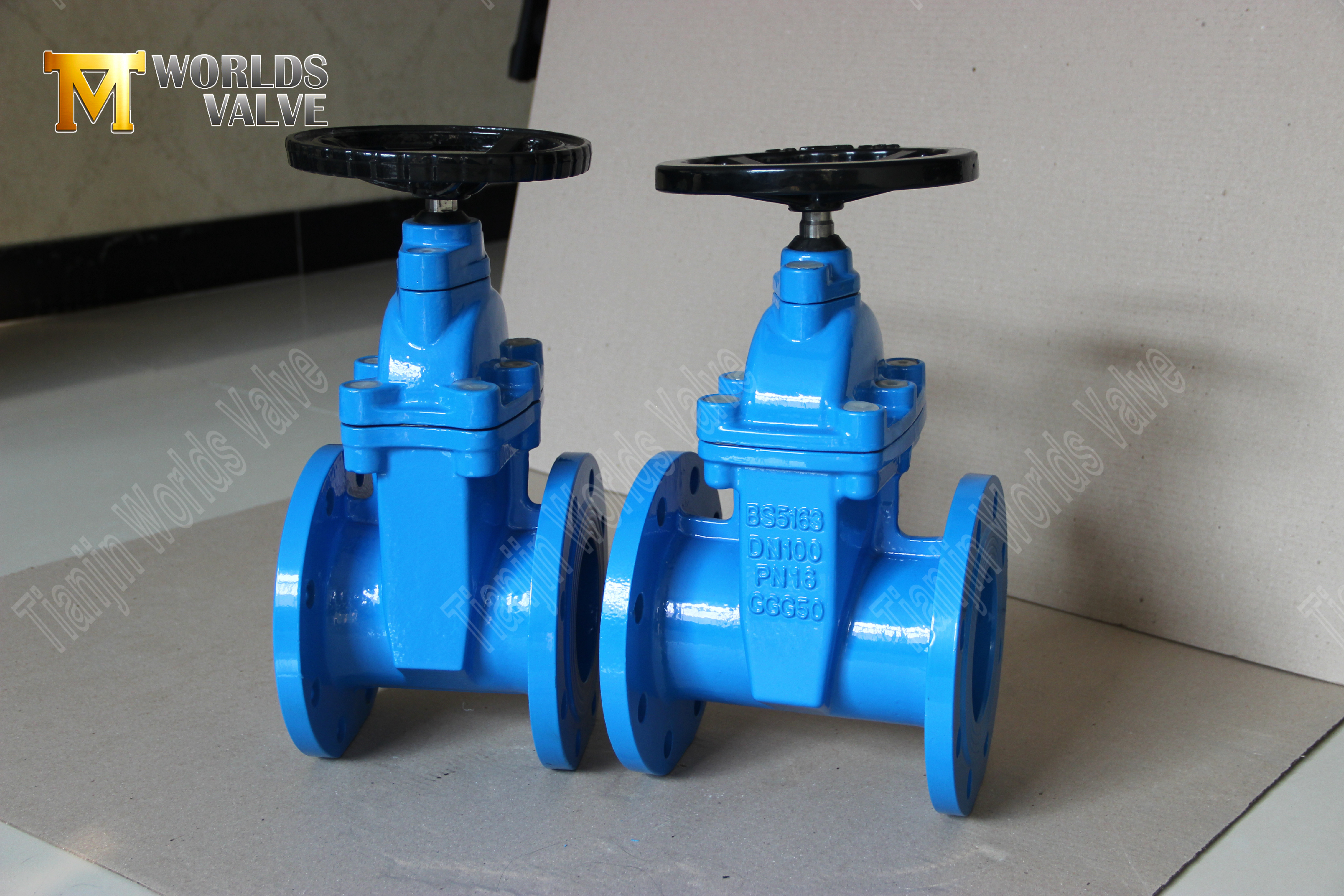 v&aacute;lvulas de puerta no subidas