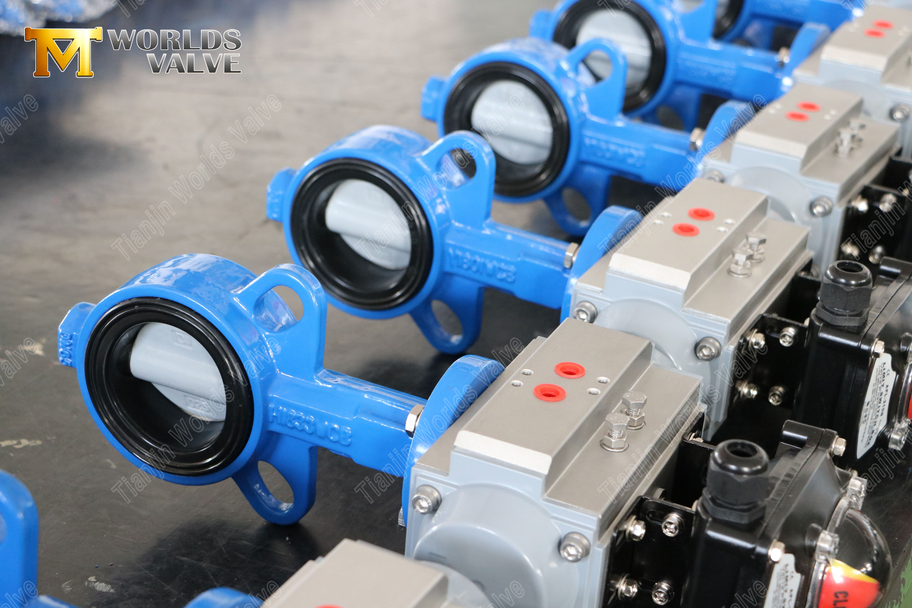 V&aacute;lvula de mariposa de oblea con disco recubierto de nylon y resistencia a la corrosi&oacute;n rentable del cuerpo WCB-1 (2)