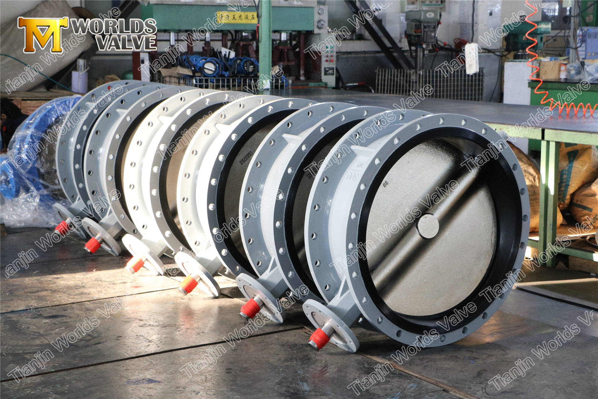 2 EN593EN558BS5155 V&aacute;lvula de mariposa con brida doble est&aacute;ndar