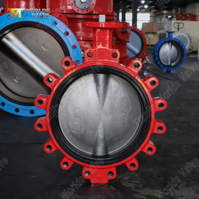 Válvula de mariposa tipo orejeta con asiento de EPDM reemplazable | Cuerpo DI Disco CF8M | Proveedor OEM