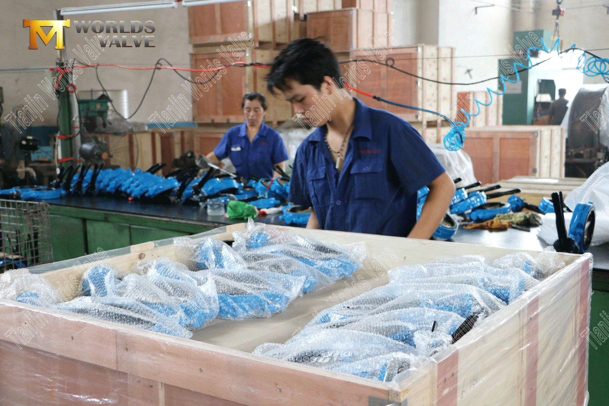 Fabricante de la v&aacute;lvula de porcelana - V&aacute;lvula de mariposa tipo oblea de hierro fundido (8)