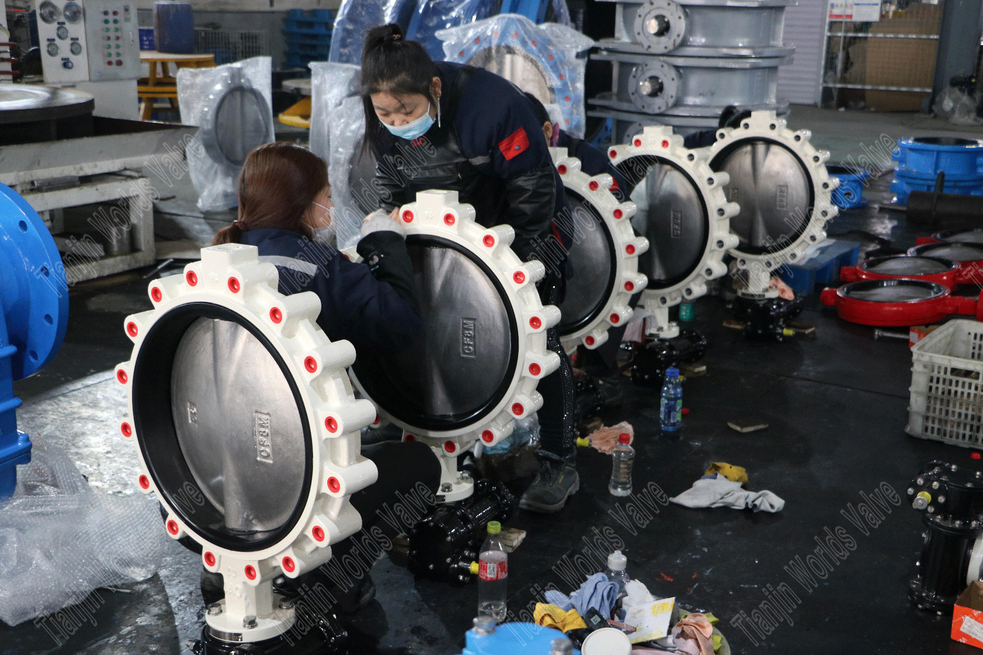 Limpieza e inspecci&oacute;n