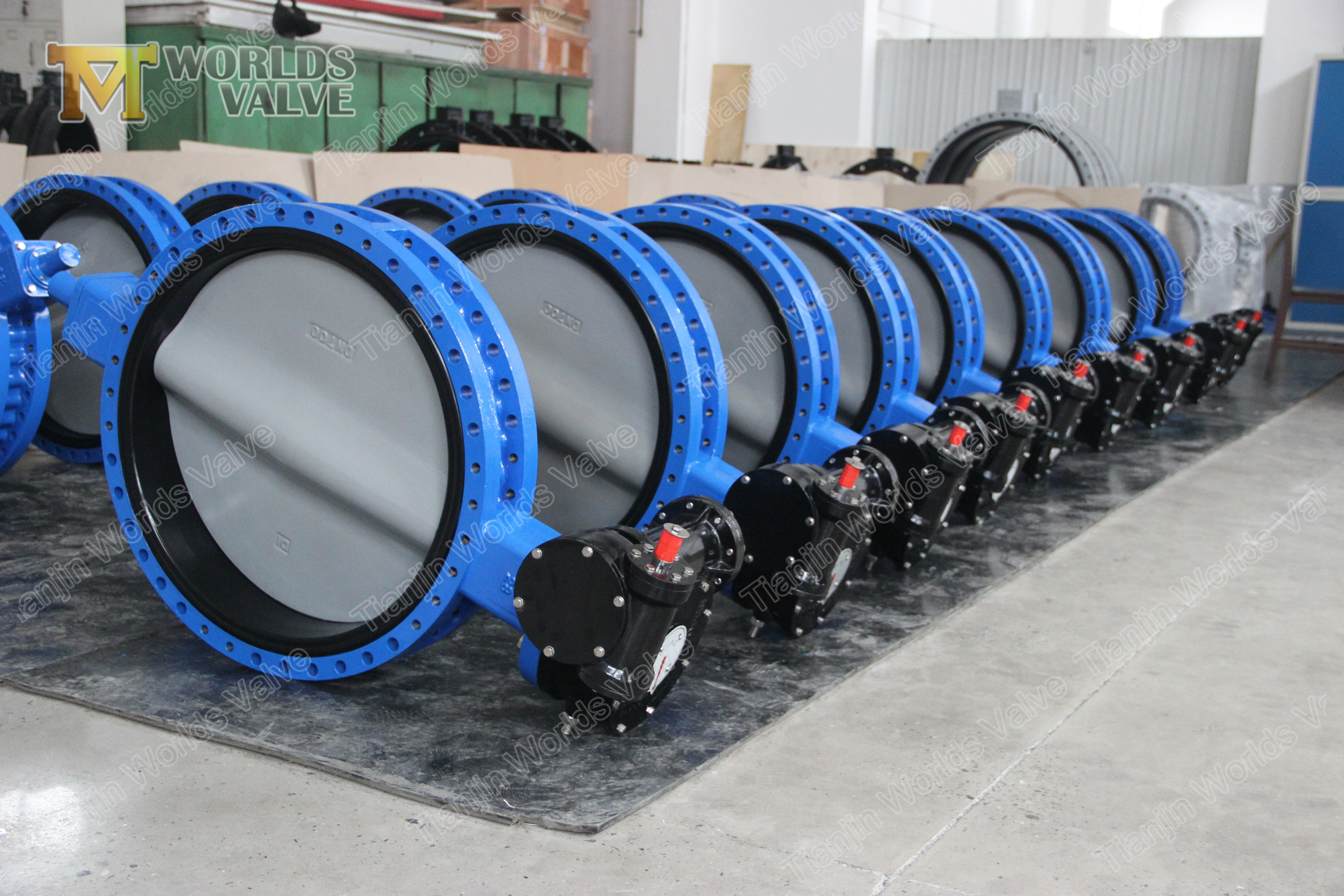 5 V&aacute;lvula de mariposa de doble brida CARTRIGE API609 Clase 150 PN10 PN16