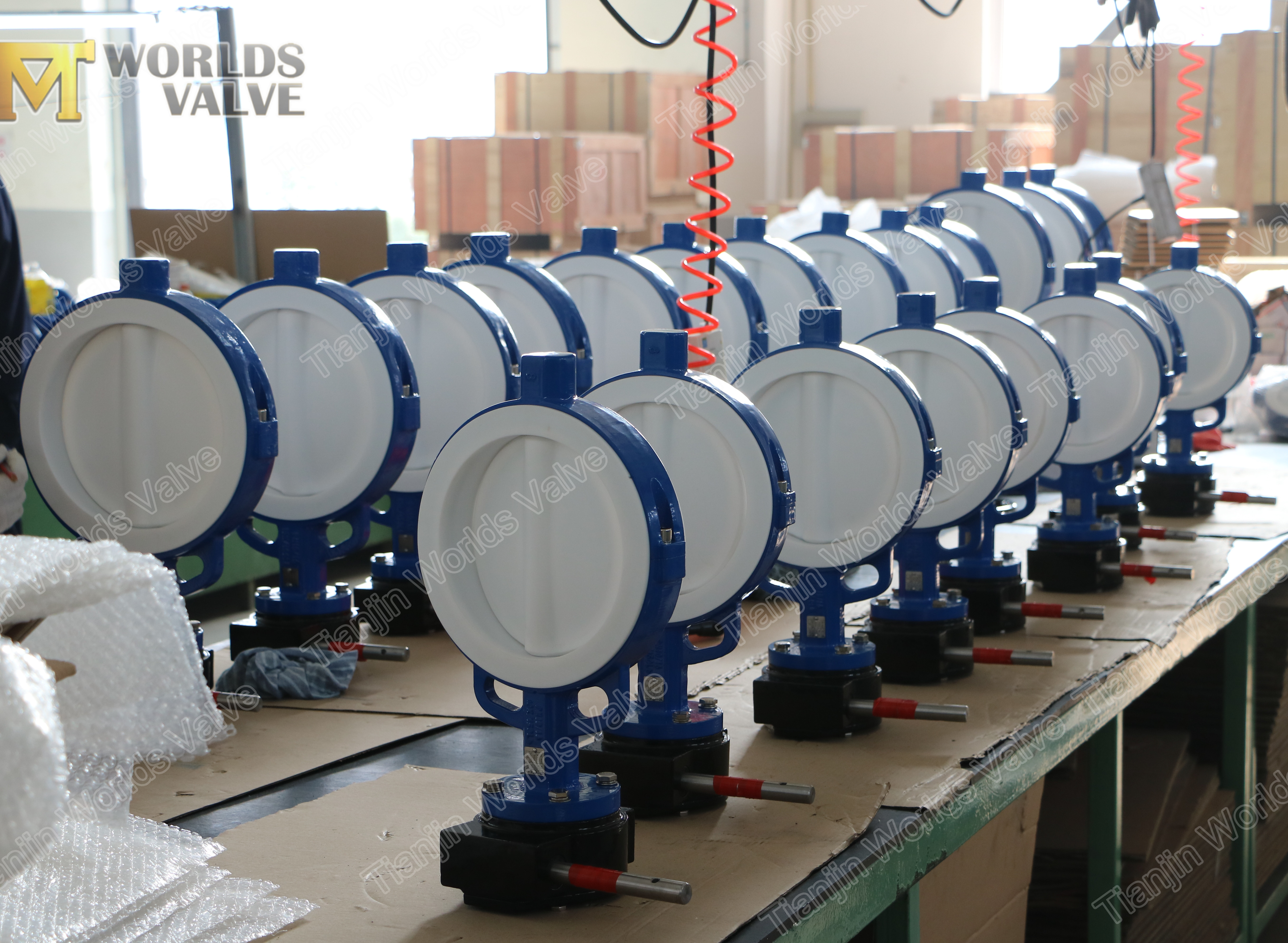 2 PTFE SEAT DOS PIEZAS CUERPO CUERPO DIRECTO CUERPO DE BODA V&Aacute;LVULA DE MARIPOSA