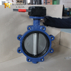 Válvula de mariposa PN16 LUG Cuerpo de hierro dúctil y disco CF8M | Proveedor de válvulas OEM de China