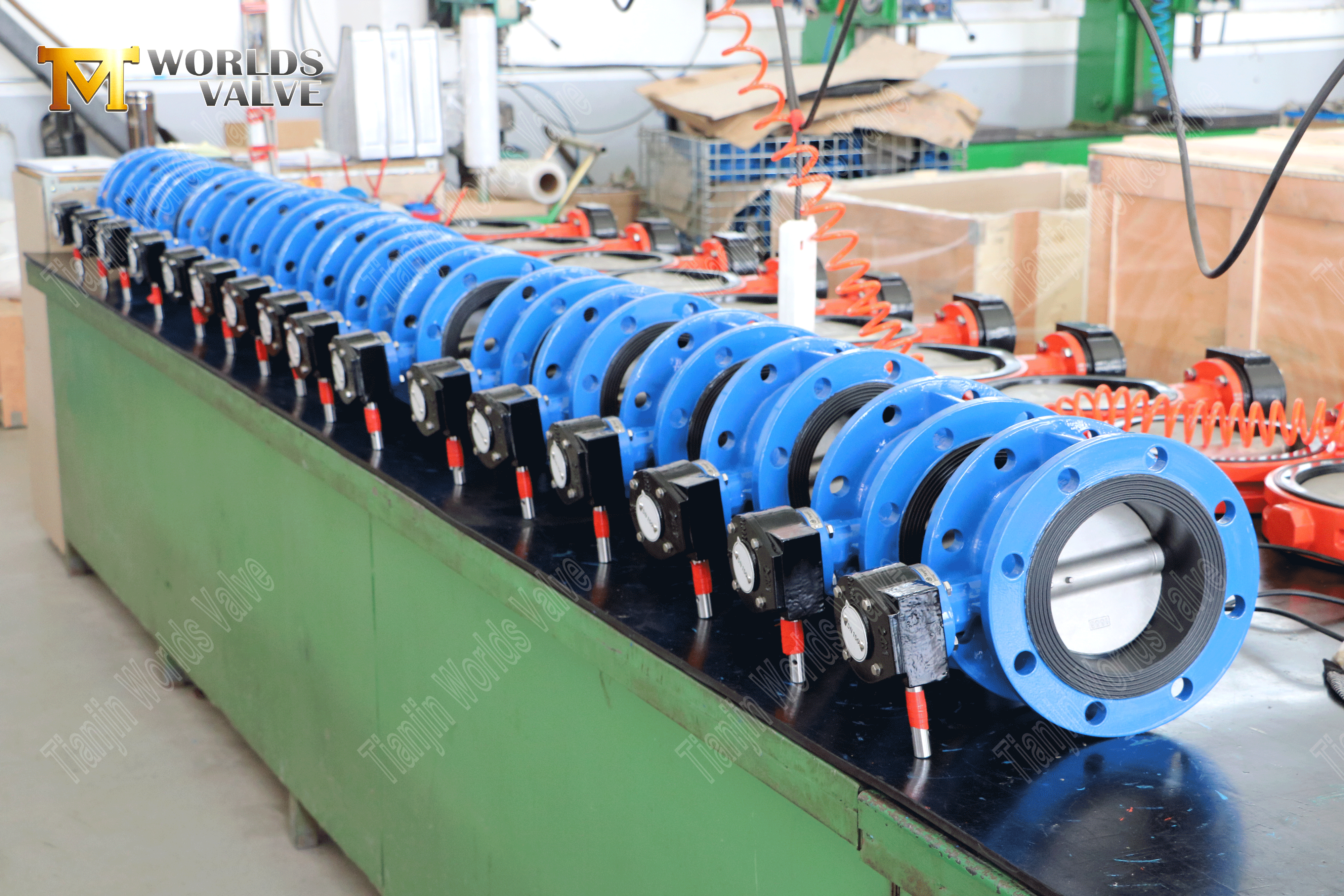 V&aacute;lvula de mariposa de brida doble con cuerpo SS y disco completo (2)