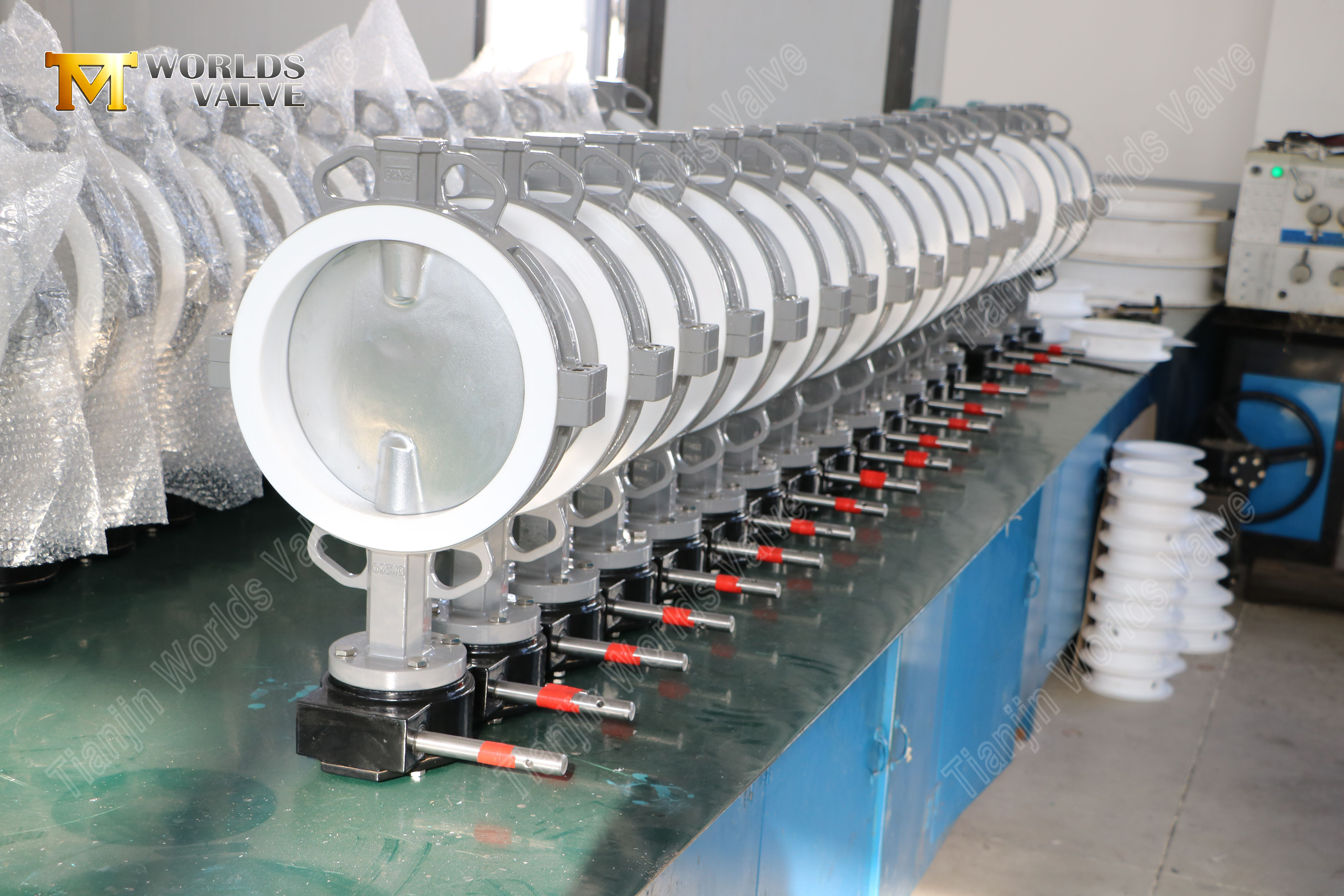 V&aacute;lvula de v&aacute;lvula de butterfly-ss-by-by-by-by-ss-with-nneumatic-actuation-5