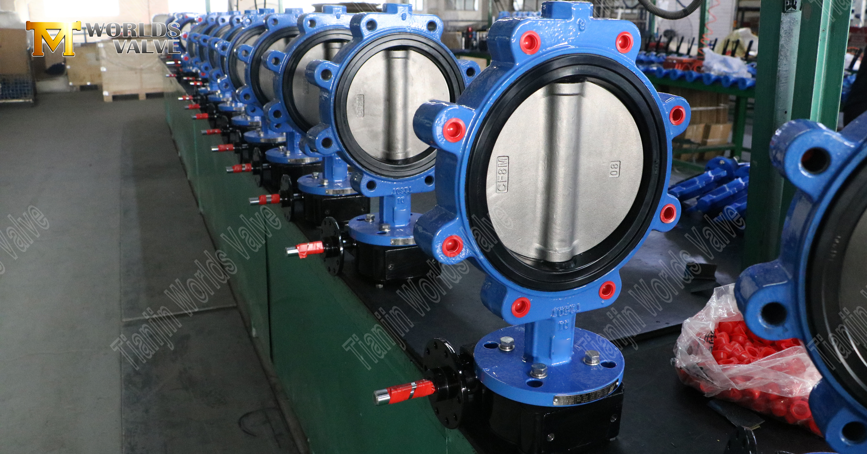 V&aacute;lvula de mariposa tipo orejeta con asiento de goma suave y disco de acero inoxidable (1)