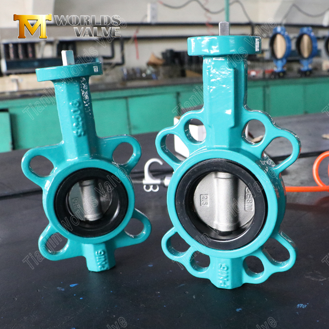 Válvula de mariposa tipo oblea de hierro dúctil con asiento de caucho y disco SS | Solución industrial rentable