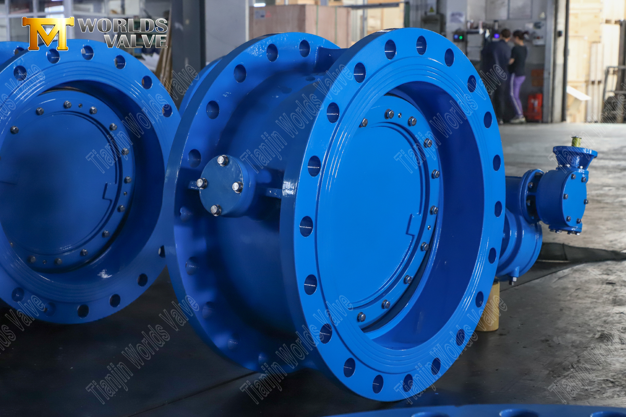 V&aacute;lvula de mariposa PN25 doble desplazamiento con bridas dobles y operador de engranaje-3 (2)