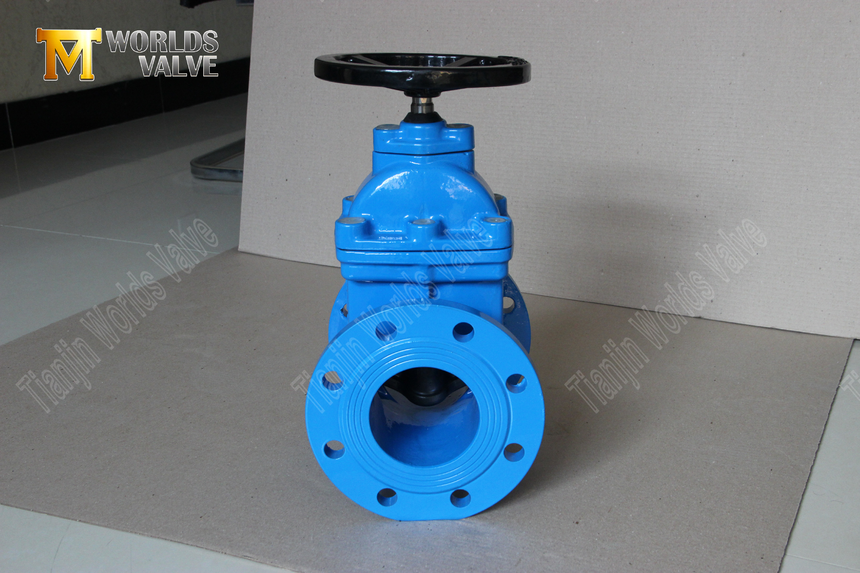 v&aacute;lvula de compuerta de asiento resistente con tipo de brida