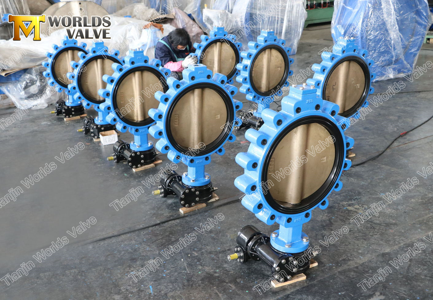 6 V&aacute;lvula de mariposa tipo LUG con caja de engranajes