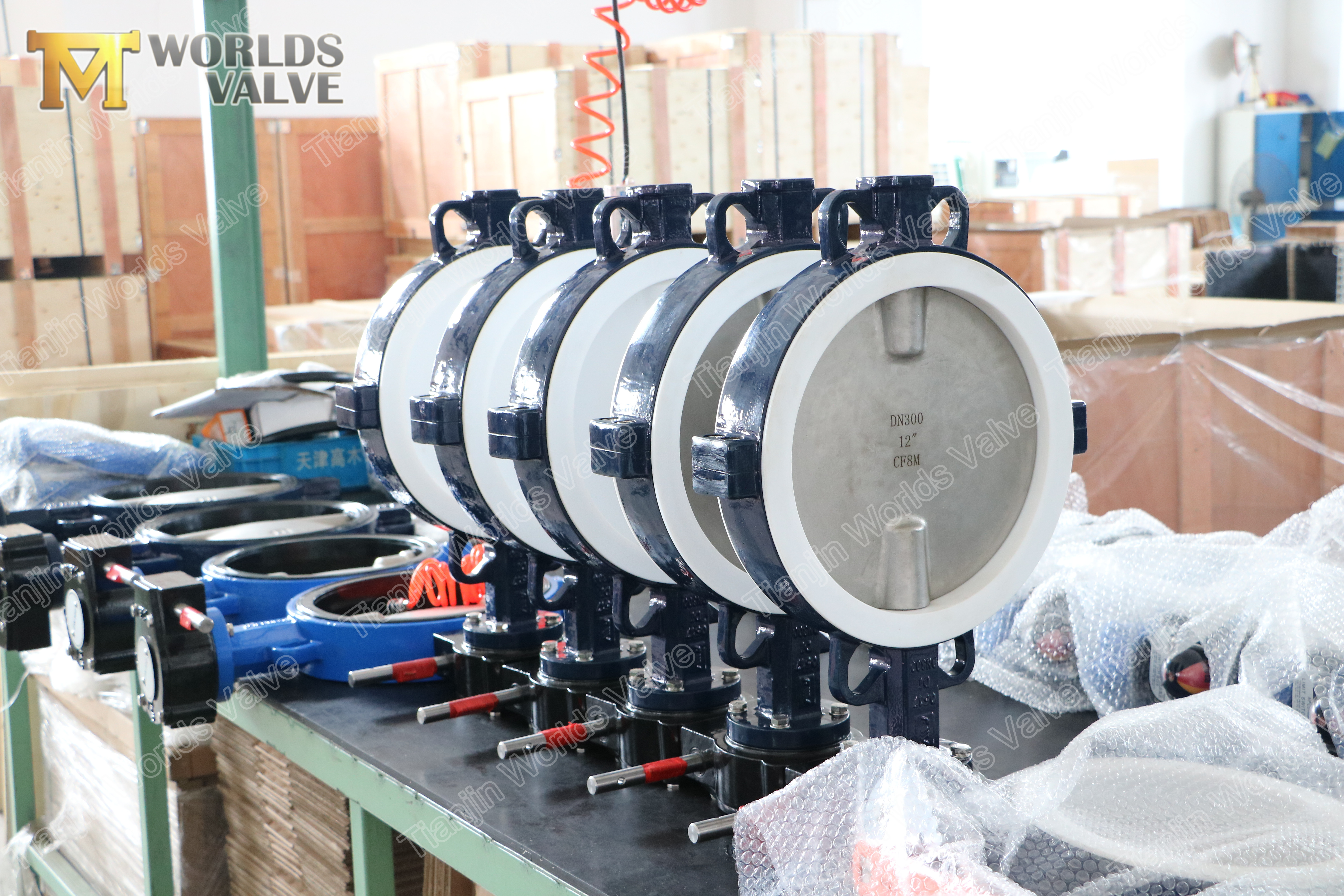 3 A536 A395 V&aacute;lvula de mariposa de hierro d&uacute;ctil PTFE