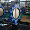 Válvula de mariposa PN16 LUG Cuerpo de hierro dúctil y disco CF8M | Proveedor de válvulas OEM de China