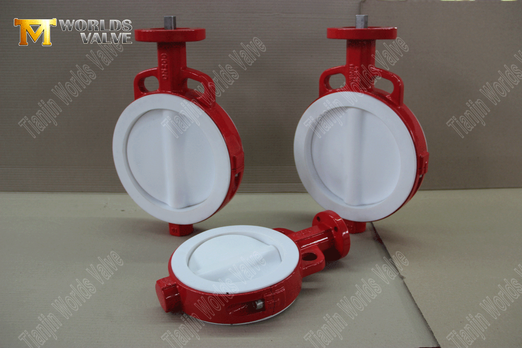 PTFE Linicidad-Butterfly-Vaves-Wafer-Type-Butterfly-Valve-Factory-From-China- (1)