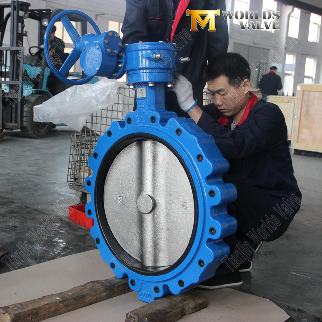 OEM | Válvulas ODM Fabricante - Válvulas de mariposa asentadas de estilo resiliente