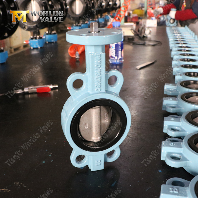 Válvulas de mariposa tipo wafer de hierro dúctil | Proveedor de válvulas de mariposa OEM