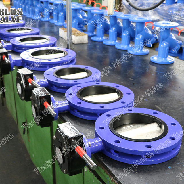 Válvula de mariposa con doble brida de la válvula OEM de China con disco recubierto de EPDM