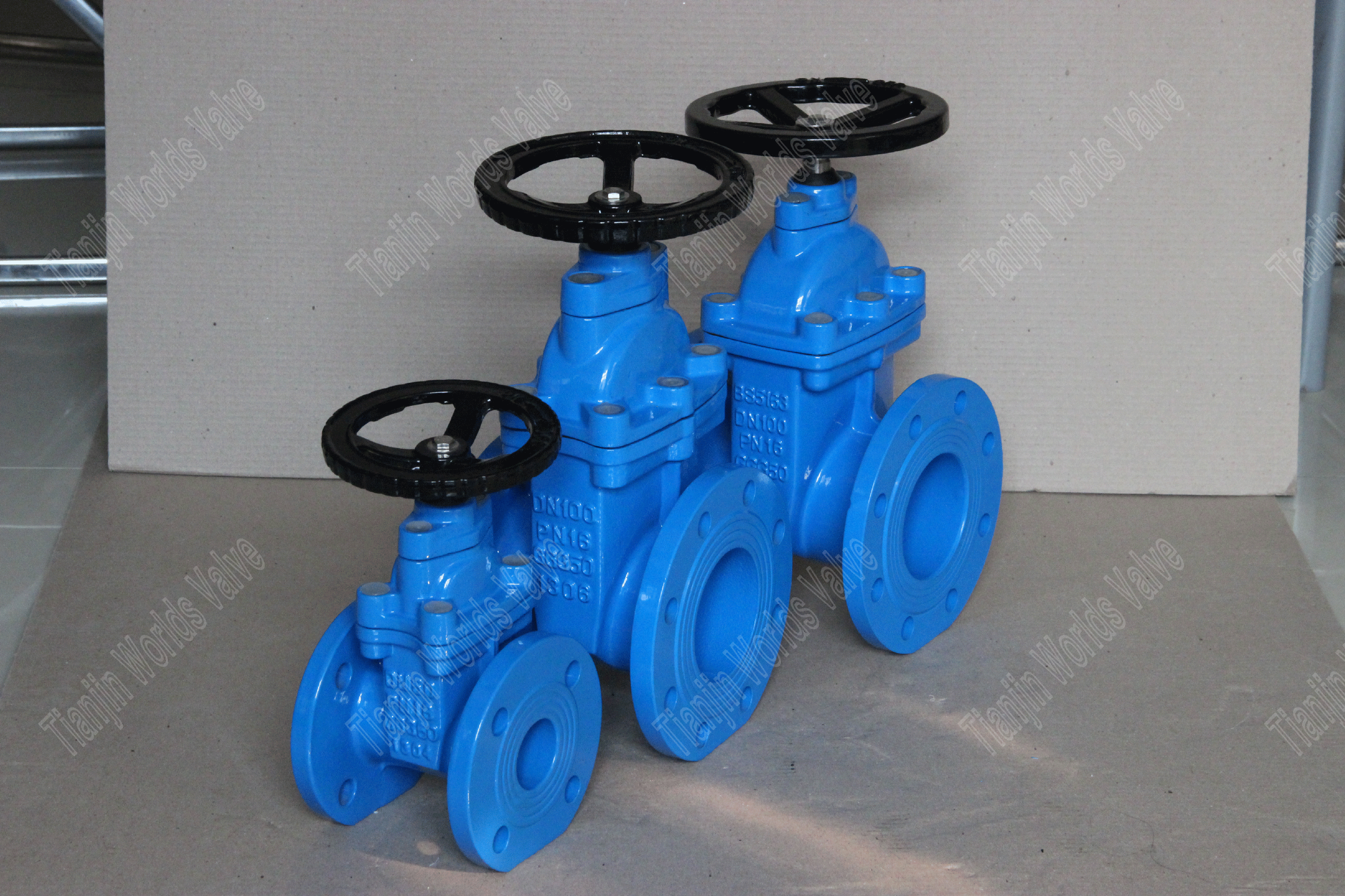 BS5163 EPDM Sentadas DI V&aacute;lvulas de compuerta de v&aacute;stago no subida (6)