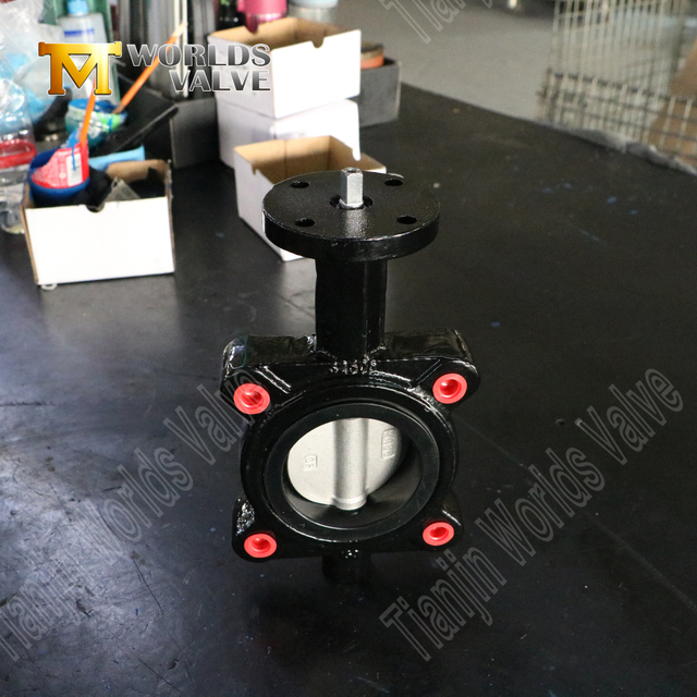 Válvula de mariposa de asiento EPDM con disco CF8M | Solución de grado industrial tipo biegue