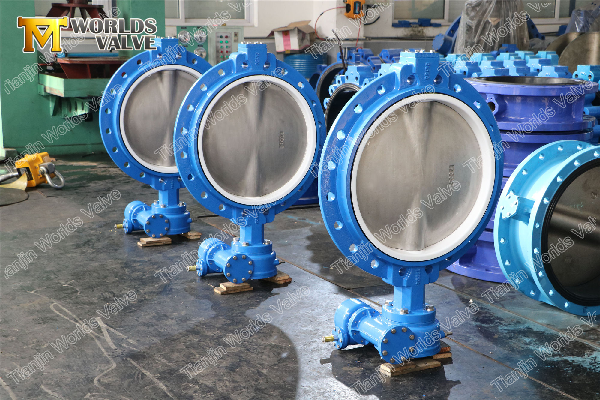 4 v&aacute;lvula conc&eacute;ntrica de tipo de oblea de la flora