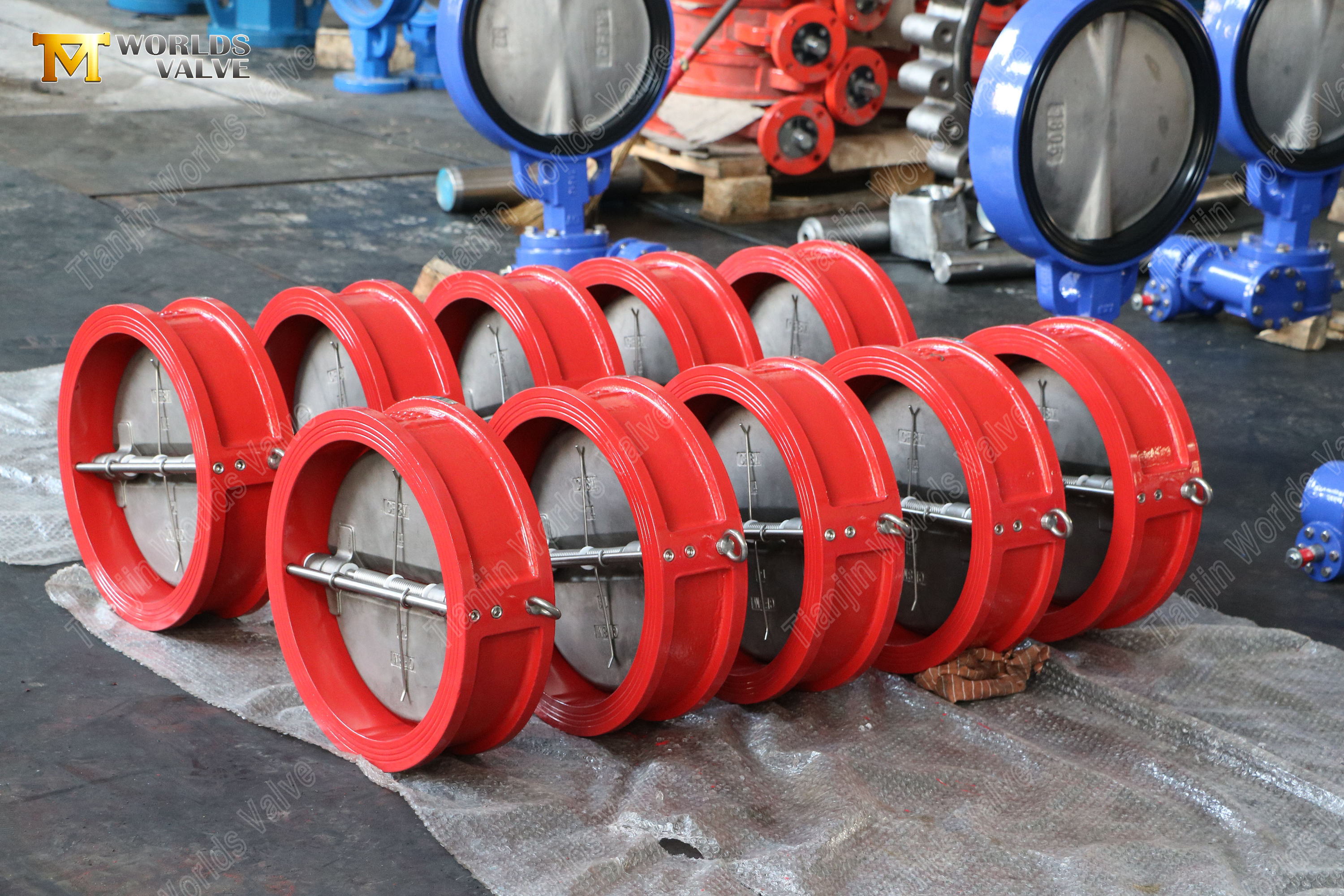 24-DN600-GGG40-Cuerpo-CF8M-Disco-doble-placa-v&aacute;lvula-retenci&oacute;n-wafer-PN10--Proveedor-de-v&aacute;lvulas-confiable-3