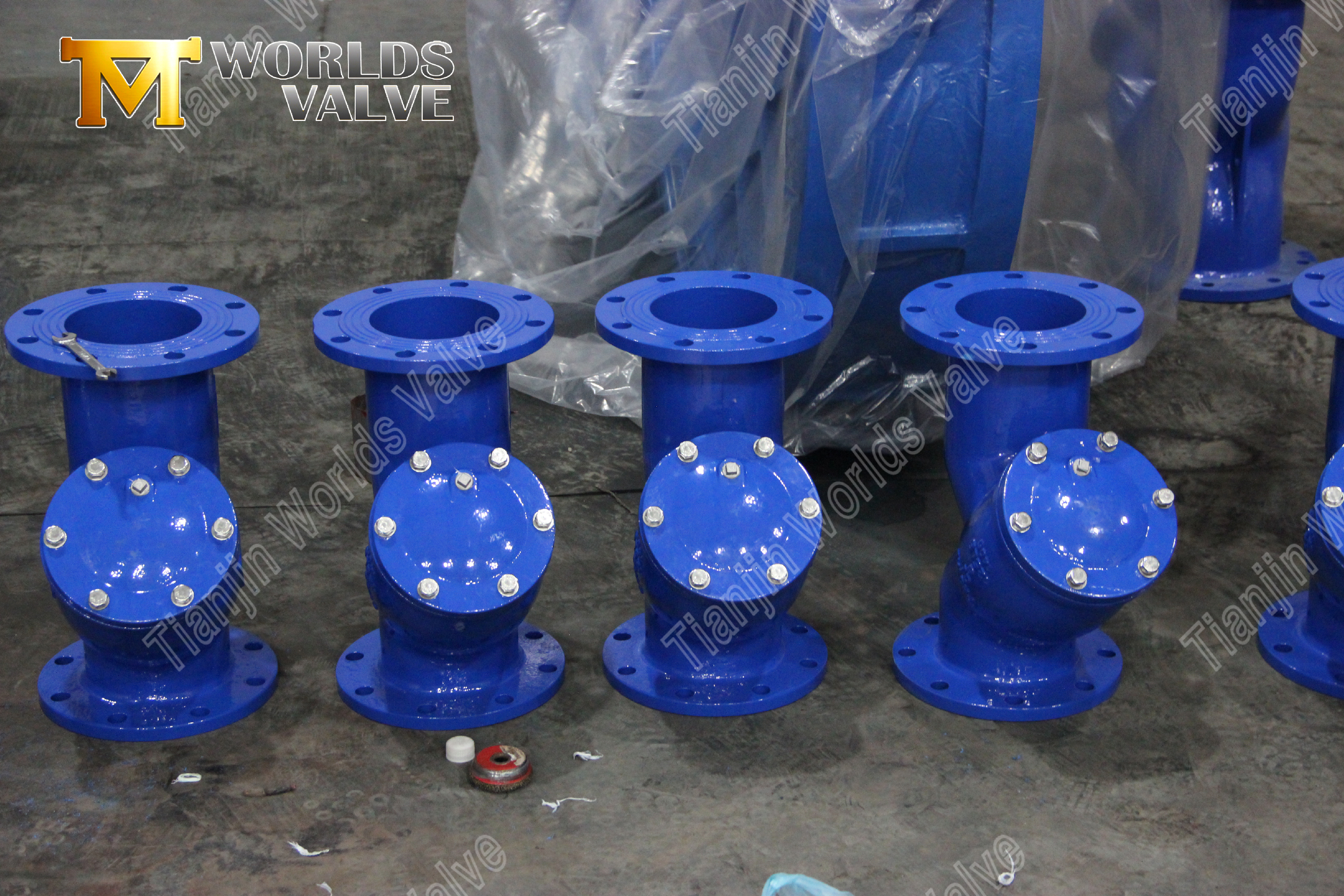 Filtro tipo Y con bridas Protecci&oacute;n de tuber&iacute;as industriales de acero al carbono WCB (7)